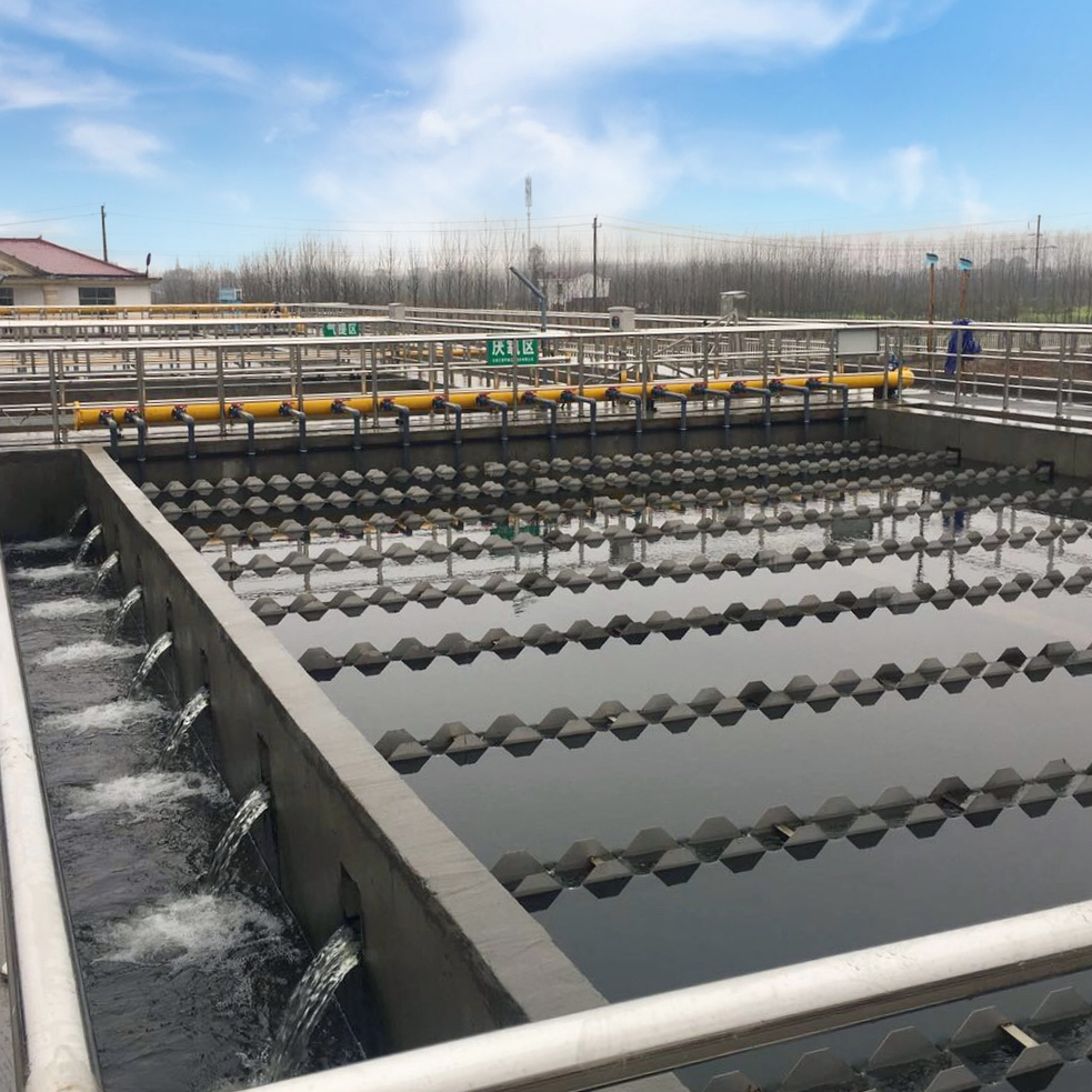 EBIS工藝在大通湖污水處理廠提質(zhì)擴(kuò)容改造項(xiàng)目成功應(yīng)用