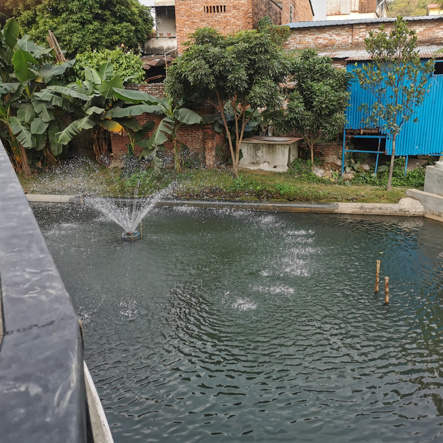 維爾利助力順德打贏黑臭水體攻堅戰