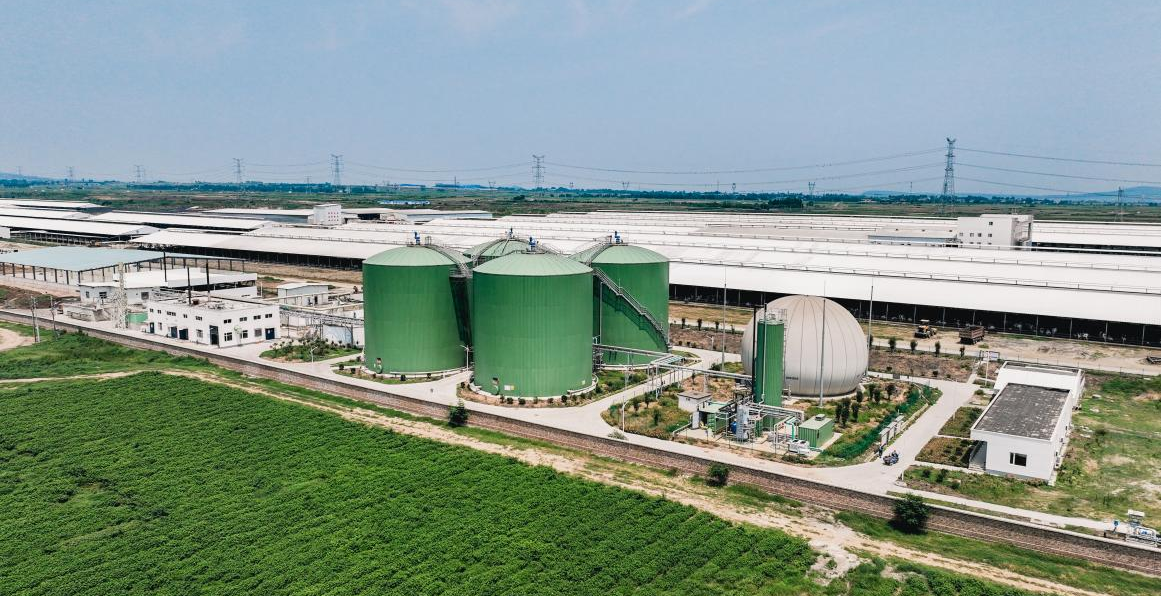 大中小型牧場有機物糞污處理資源化整體解決方案