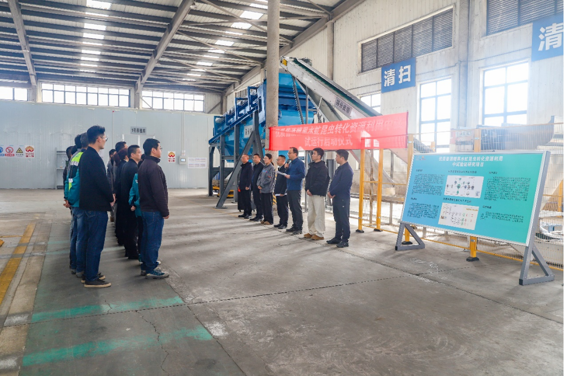 維爾利醬酒糟黑水虻轉(zhuǎn)化中試項(xiàng)目啟動(dòng)試運(yùn)行